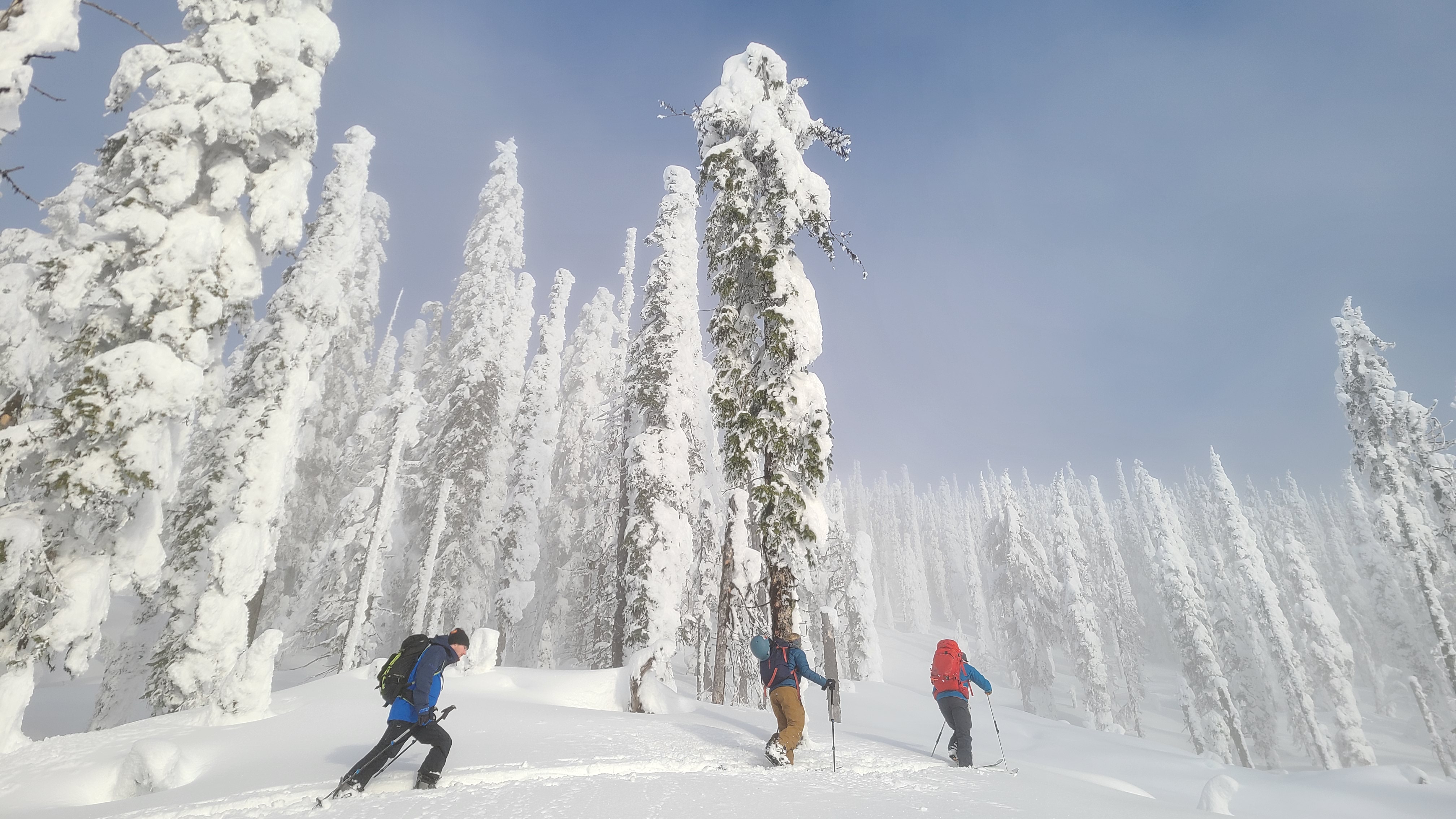 Backcountry safety training during a KBG avalanche course