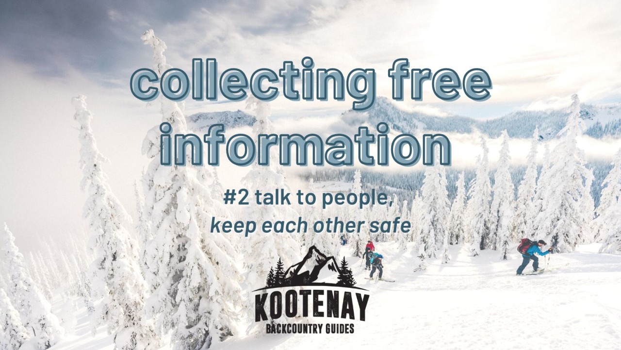 Collecting Free Info: #2 Talk To People