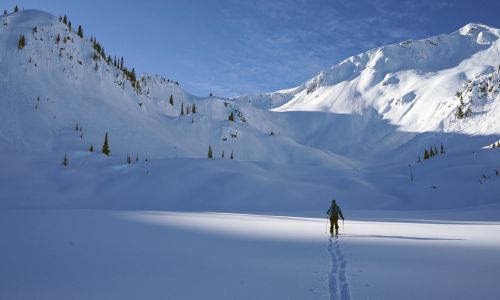 A Ski touring in the alpine